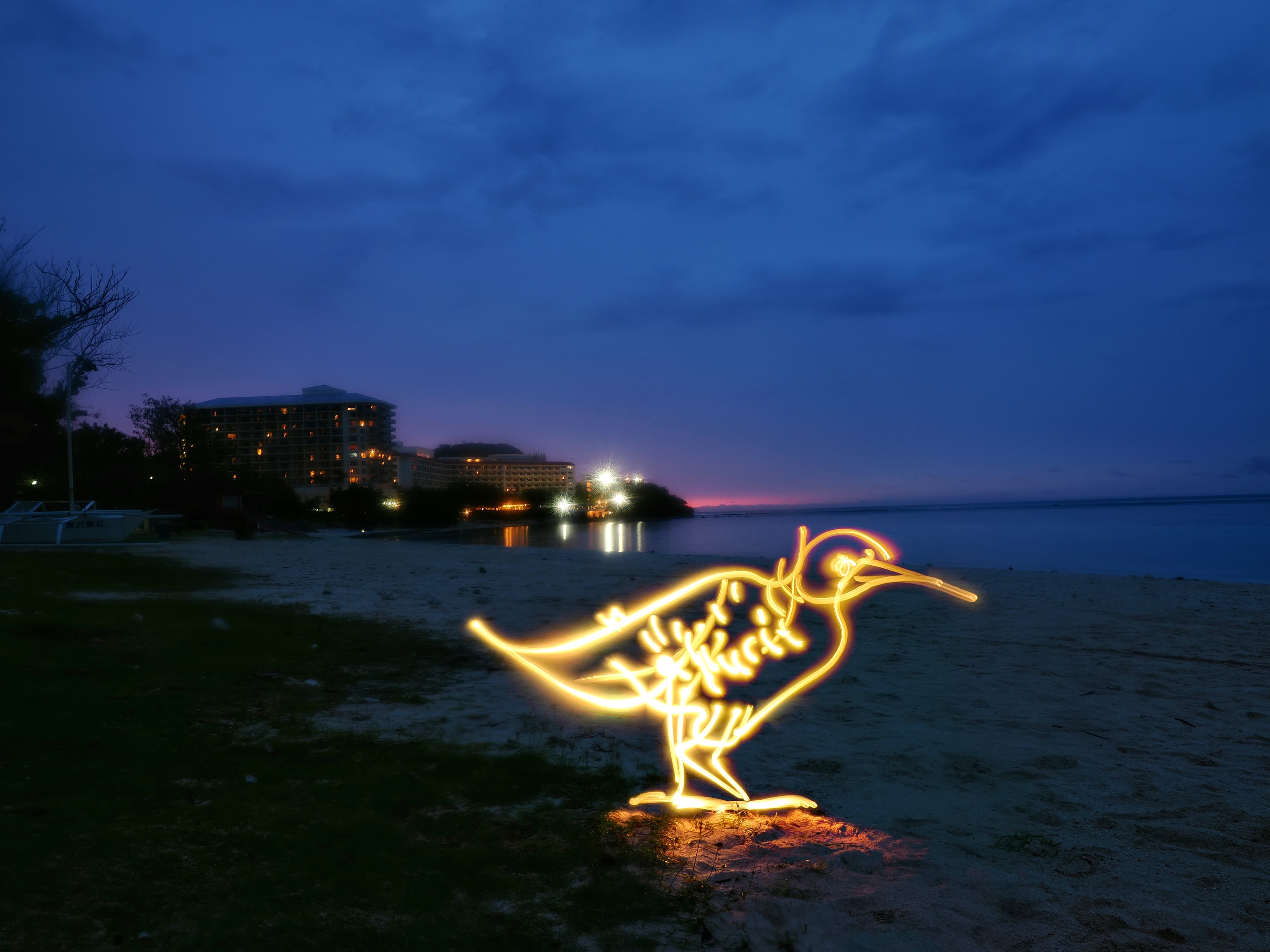 ART: International Light Painting Artist Roy Wang creates the Guam Ko'ko' bird at Ypao Beach Park using light on Sept. 14.