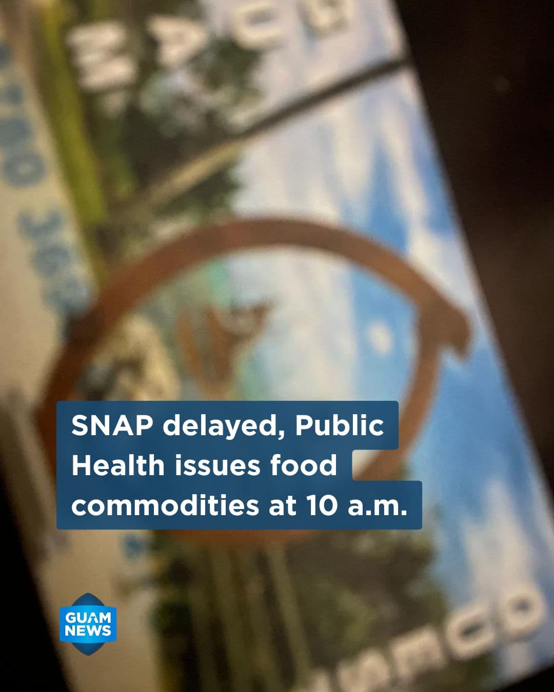 Public Health reports another delay in SNAP benefit loads
