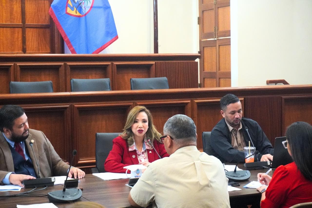 Roundtable spurs push to expand language access on Guam