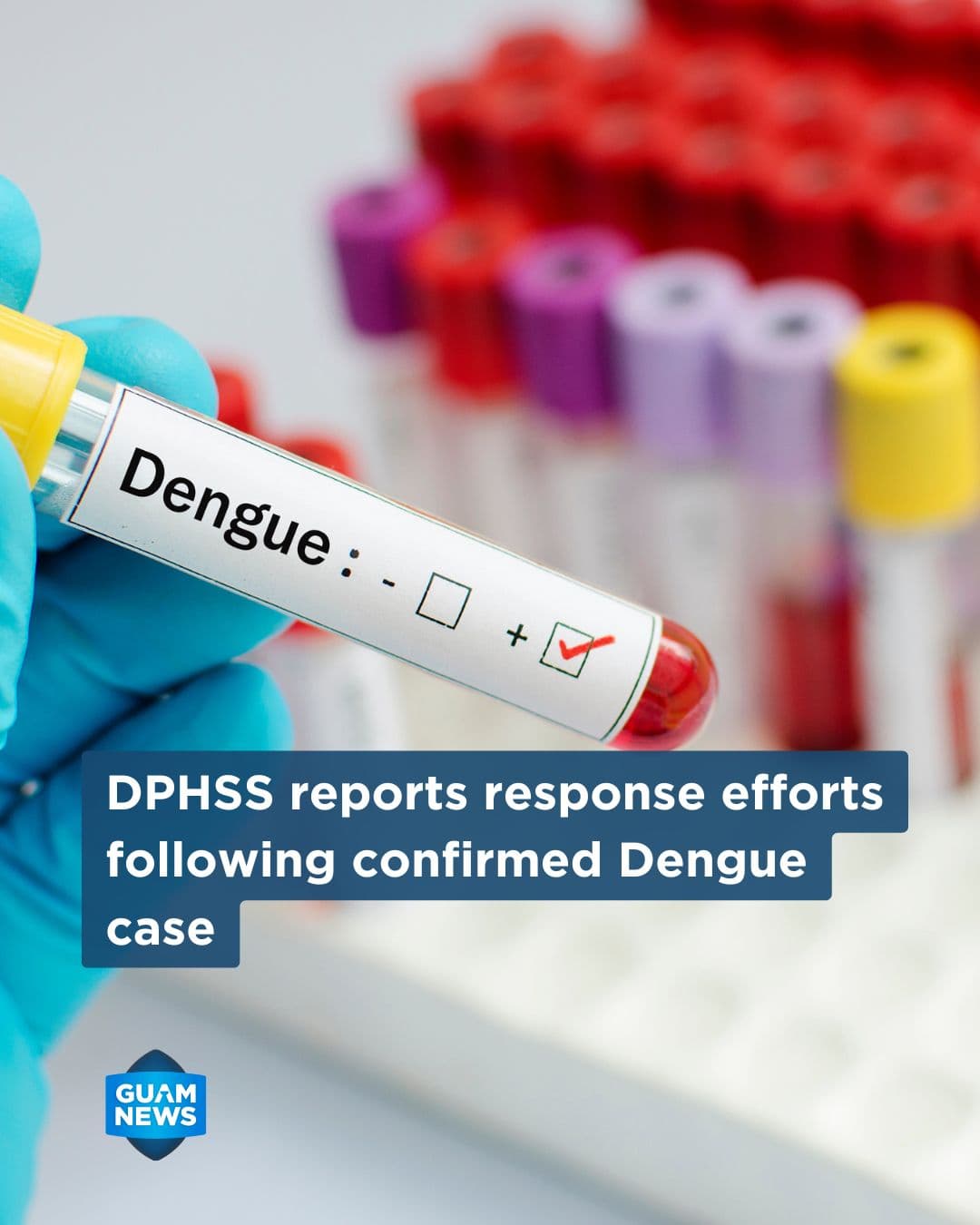 Public Health completes mosquito control after dengue case