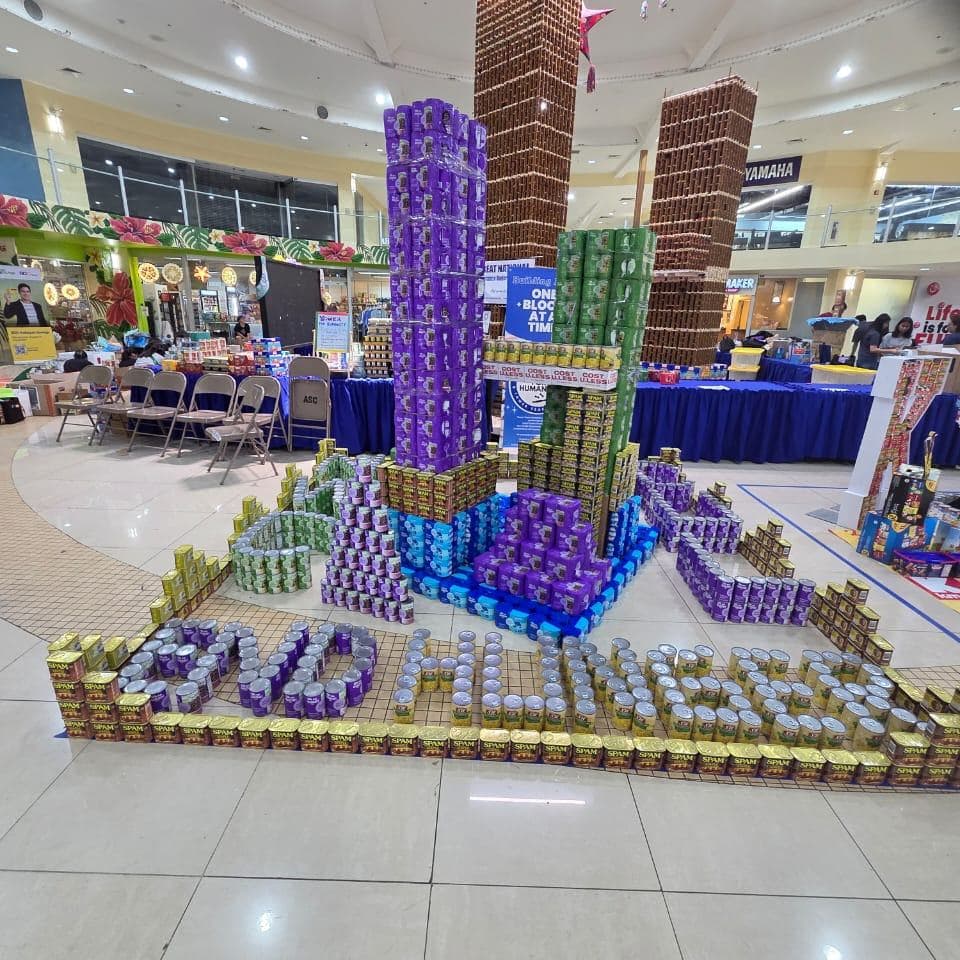 Canstruction teams build sculptures from canned goods
