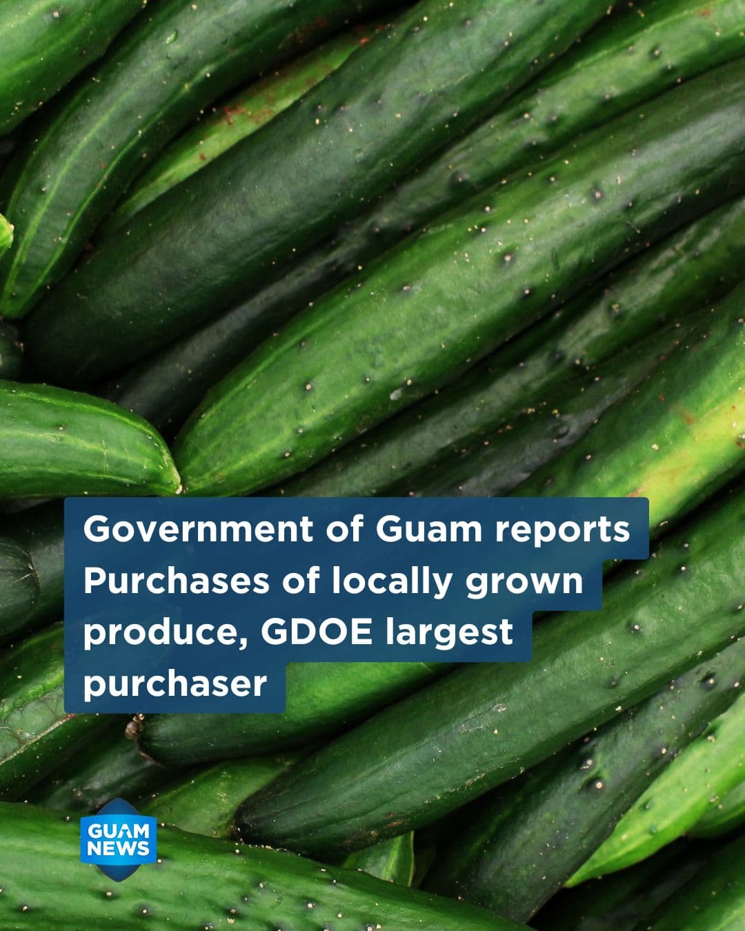 New data tracks government purchases of local produce and fish