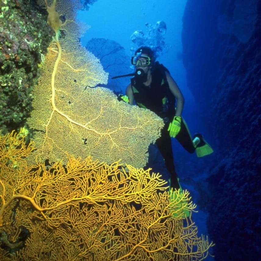 Guam voted Pacific's best shore diving destination