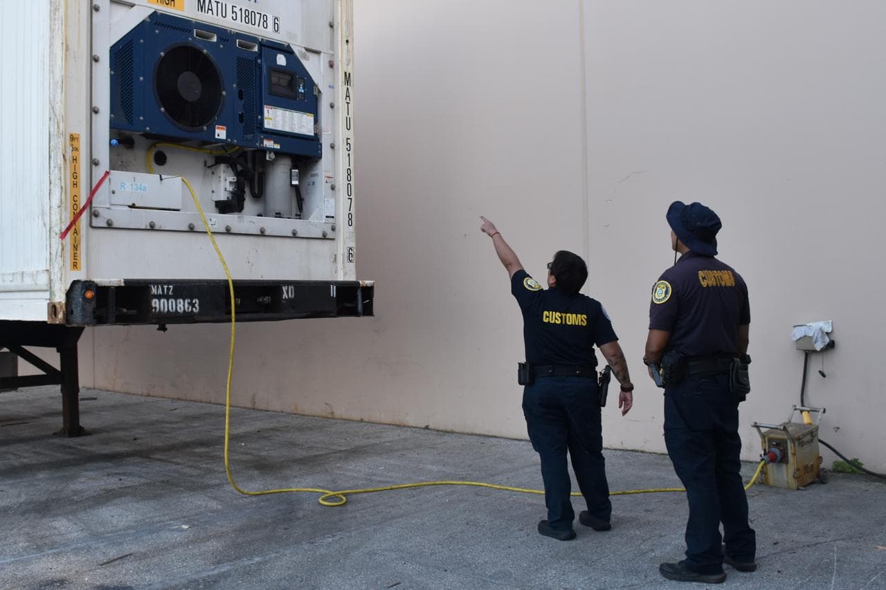 Customs clears island's Christmas trees after fumigation