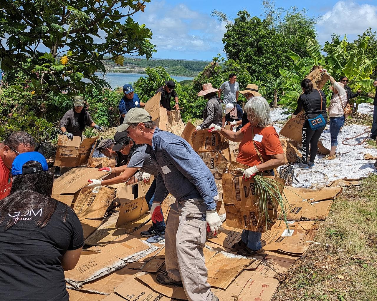 UOG workshop turns lawns into gardens with sheet mulching