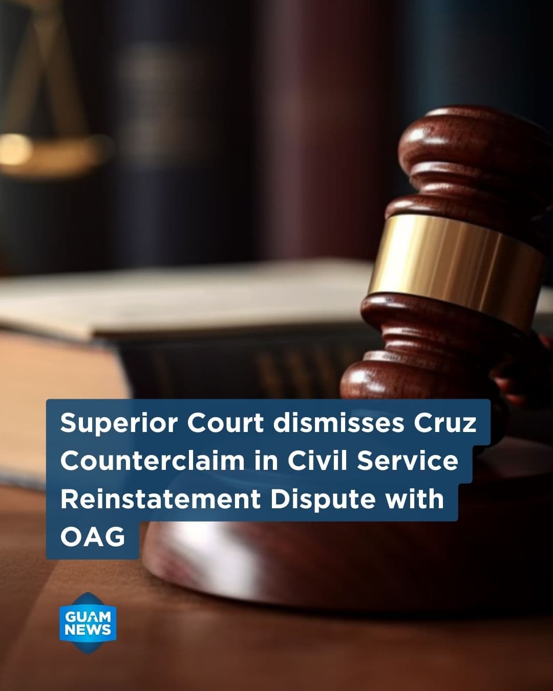 Court dismisses government employee's counterclaim