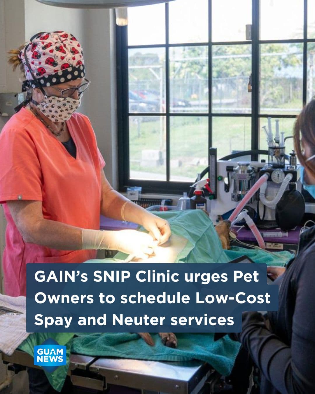 SNIP clinic promotes low-cost spay and neuter services