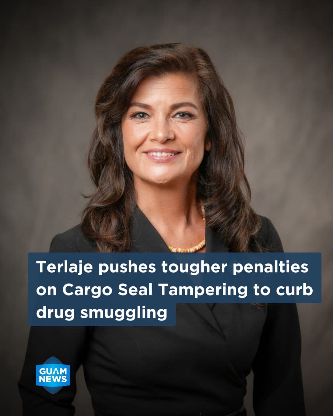Terlaje bill targets cargo seal tampering