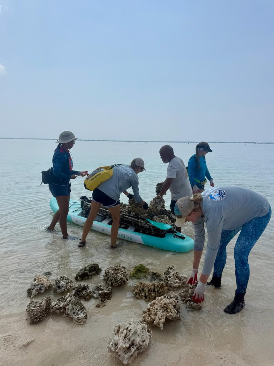 Agriculture teams rescue wildlife after Typhoon Sinlaku