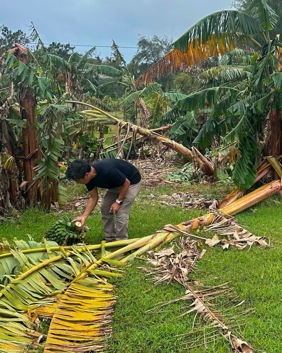 UOG offers free soil testing to farmers after Typhoon Sinlaku