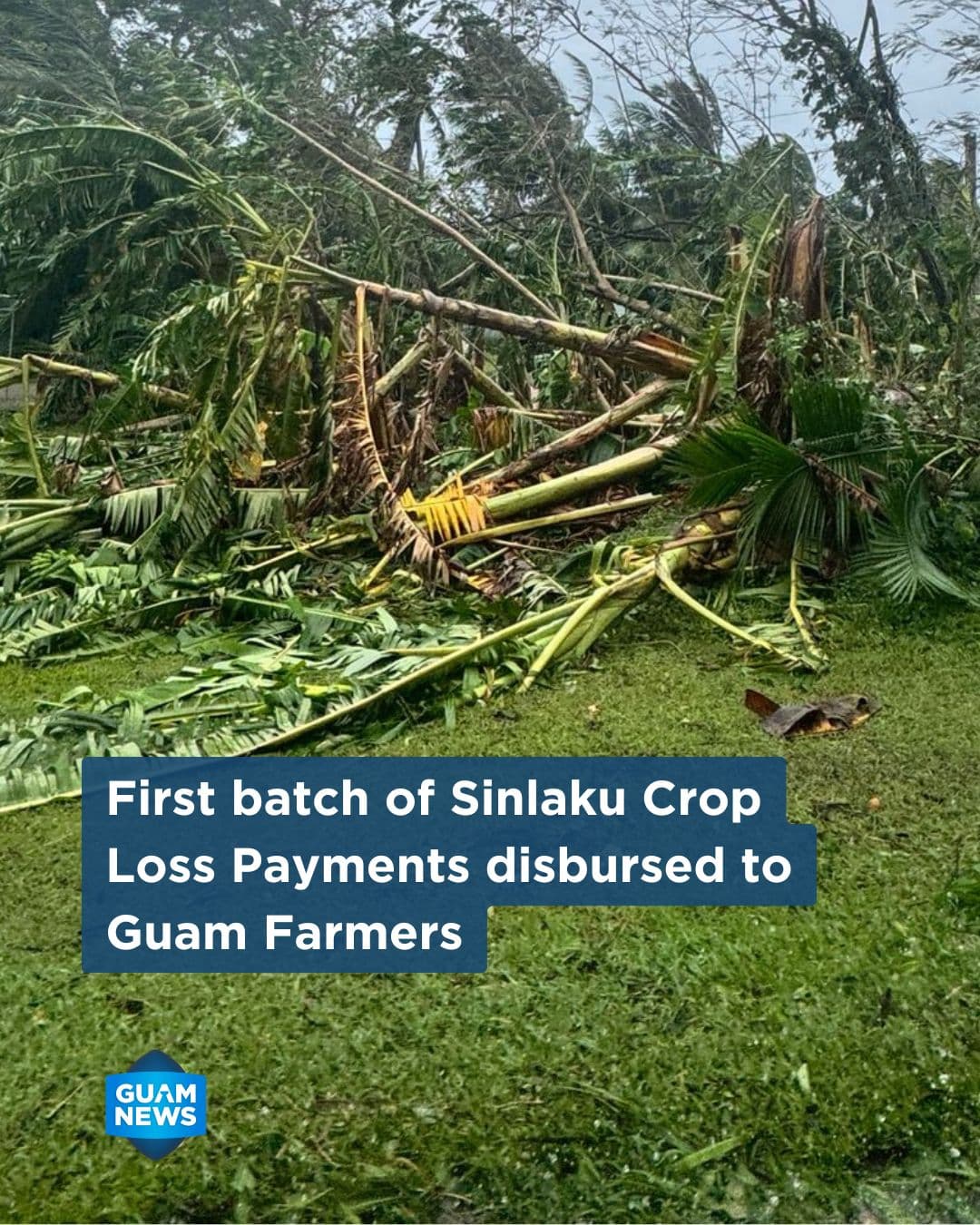 First checks issued to farmers for Typhoon Sinlaku crop losses